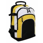 Scorcher Backpack